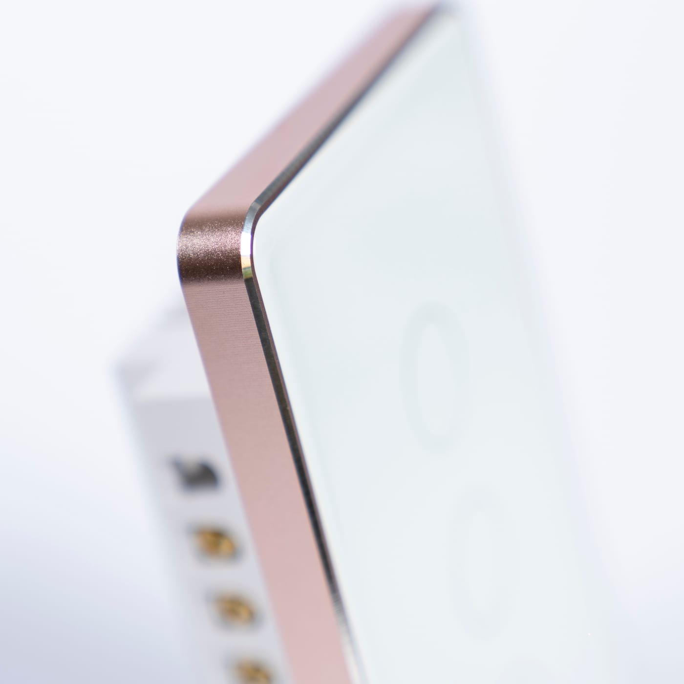 OSH 2 Gang Smart Light Switch white face gold frame detail view